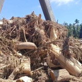 Kayu Bekas Terbawa Banjir Bandang dan Tanah Longsor Aceh Diklaim Telah Dimanfaatkan 70 Persen untuk Pembangunan