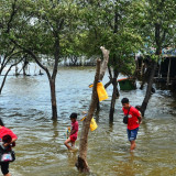 Banjir Parah Kepung Kota Malang: 39 Titik Terendam, Air Capai 160 Cm dan Pohon Tumbang
