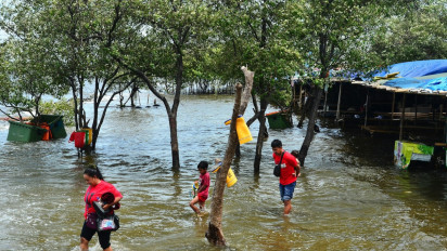 BPBD Babel: Waspada Serangan Buaya di Daerah Banjir