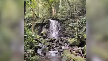 Curug Anakan di Desa Way Kalam, Kecamatan Kecamatan Penengahan, Lampung Selatan, pada Selasa (2/12/2025).