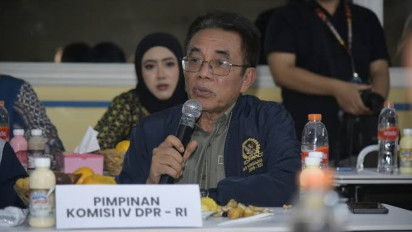 Komisi IV DPR Sebut Penggundulan Hutan Jadi Salah Satu Penyebab Bencana Banjir Sumatra