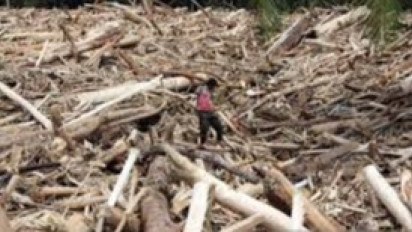 Diduga Penyebab Bencana di Sumut, Tiga Perusahaan Ini Bakal Dilakukan Audit