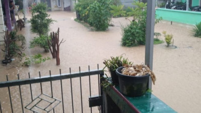 Mengerikan, Warga Diminta Waspada Serangan Buaya Ketika Banjir Melanda