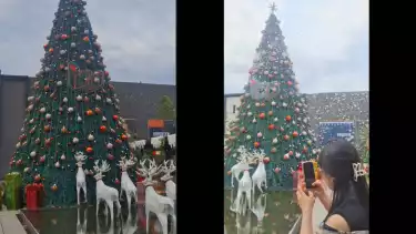 Pohon Natal Bersalji di PIK 2