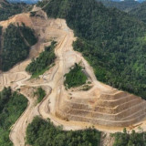 Merdeka Gold Kantongi Kredit 350 Juta Dolar AS untuk Percepatan Proyek Tambang Emas Pani