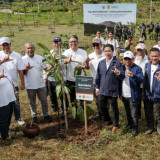 Mitigasi Bencana, Kawasan DAS Gunung Pangrango Kembali Ditanami Pohon