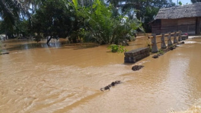 Wamen LH Ungkap 4 Perusahaan Penyebab Bencana Sumatera Sudah Disegel, Ini Daftarnya