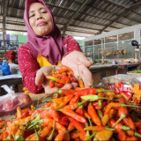 Harga Cabai di Pasuruan Meroket, Pasokan Menipis