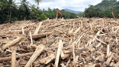 Update Korban Banjir Sumatera: Meninggal Dunia 990 Jiwa, 222 Orang Masih Hilang
