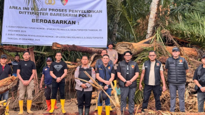Bareskrim Beberkan Dugaan Bukaan Lahan dan Tambang jadi Pemicu Banjir Kayu di Sumatra