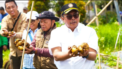 Kementerian Pertanian Pantau Terus Implementasi Model Pertanian Terpadu Hulu - Hilir