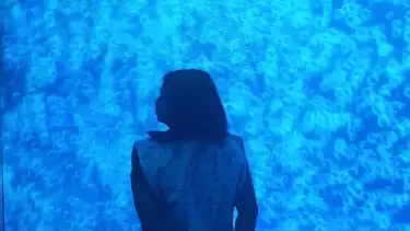 The Avatar: Fire and Ash Experience