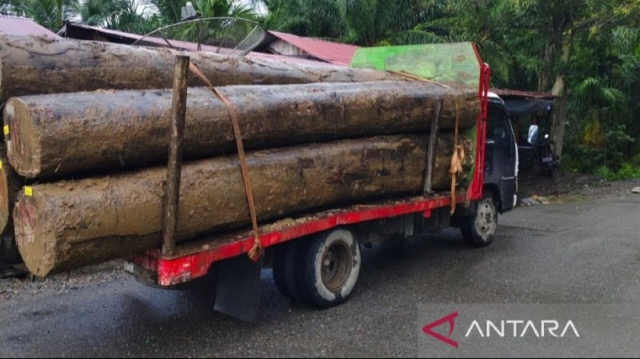LSM Minta Polisi Usut Pengiriman Kayu di Aceh Barat Saat Bencana
            - galeri foto