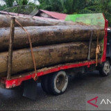 LSM Minta Polisi Usut Pengiriman Kayu di Aceh Barat Saat Bencana