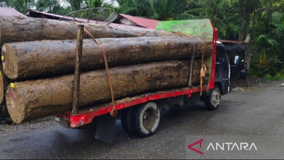 LSM Minta Polisi Usut Pengiriman Kayu di Aceh Barat Saat Bencana