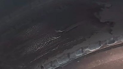 Viral Video Ban Bus TransJakarta Botak, Warga Soroti Ancaman Keselamatan di Jalan