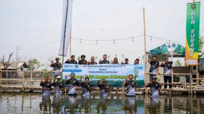 Dukung Ekosistem Pesisir, bank bjb Tanam 10.000 Mangrove Bersama Masyarakat Subang