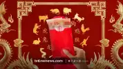 Ramalan Keuangan Shio 3 Juli 2026: Ayam dan Monyet Diprediksi Tutup Pekan dengan Rezeki yang Tidak Disangka