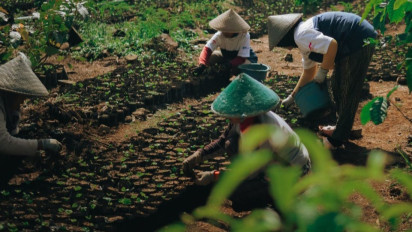 Petani Kopi di Garut Raup Keuntungan Fantastis Lewat Program Ini