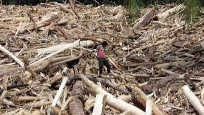 Babak Baru Kasus Gelondongan Kayu saat Banjir Sumut, Bareskrim Ungkap Hasil Pengusutan
