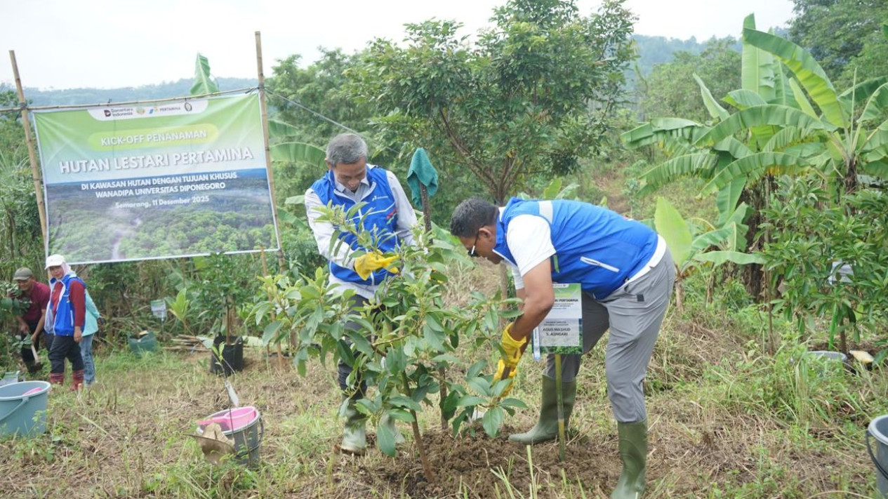 HUT ke-68 Pertamina, Gandeng 3 Kampus Besar untuk Hijaukan Ratusan Hektare Lahan di Jawa dan Yogyakarta
            - galeri foto