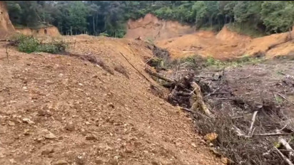 Bupati Gowa Sebut Tak Ada Hutan Gundul, Wabup Justru Temukan Ilegal Logging