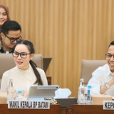 Pertumbuhan Ekonomi Batam Melejit, BP Batam Catat Realisasi Investasi Rp54,47 Triliun