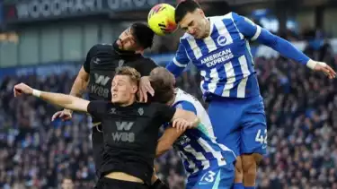 Brighton Vs Sunderland