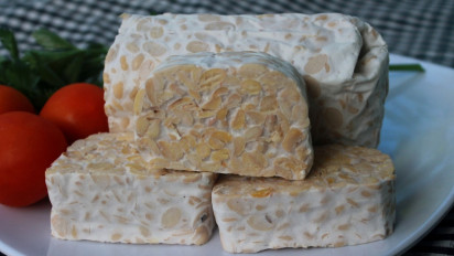 Kementerian Kebudayaan Targetkan Budaya Tempe Masuk Daftar Warisan Budaya Takbenda Dunia pada 2026