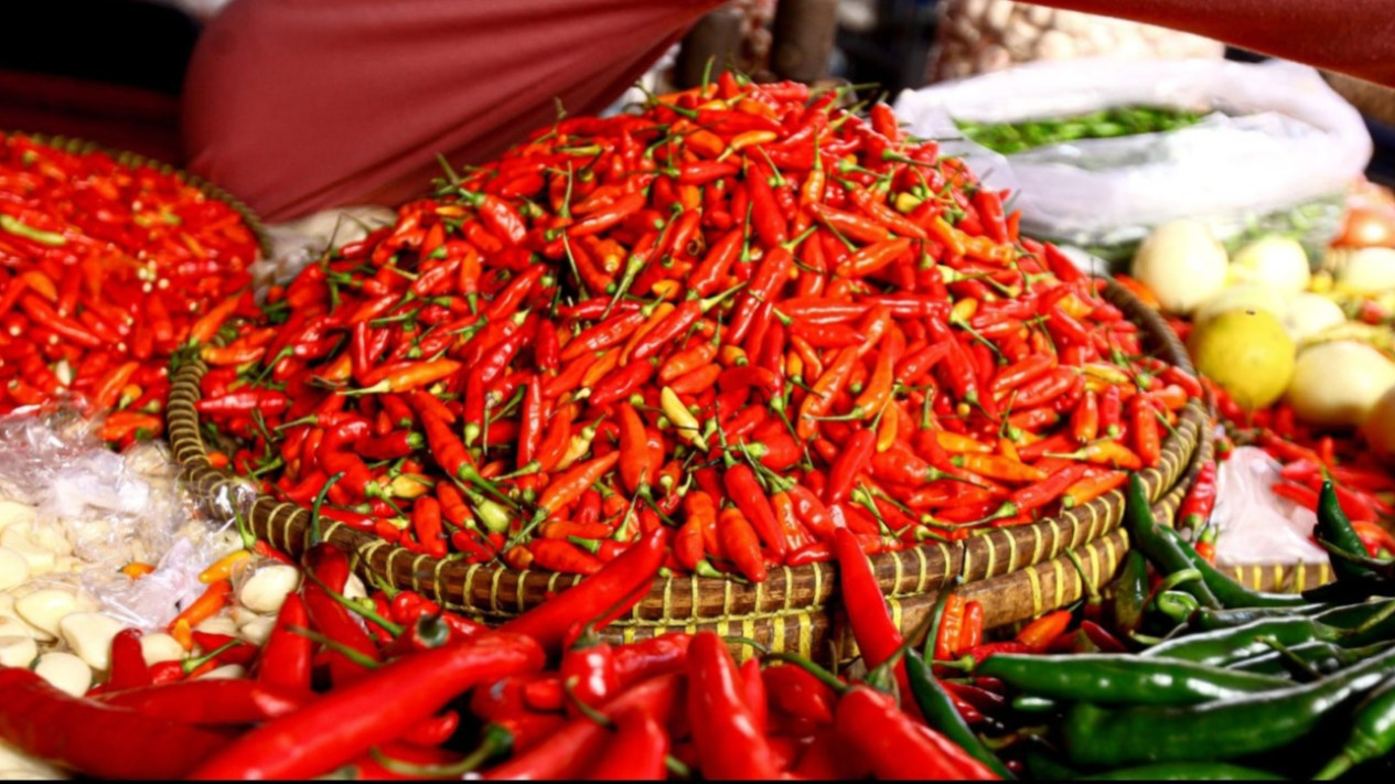 DKI Jakarta Serap Cabai Petani Aceh Pascabencana, 1,4 Ton Dibeli dan Dijual Lebih Murah di Pasar Jakarta
            - galeri foto