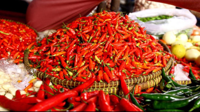 DKI Jakarta Serap Cabai Petani Aceh Pascabencana, 1,4 Ton Dibeli dan Dijual Lebih Murah di Pasar Jakarta