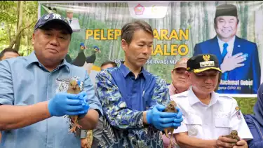 Anggota DPR RI dari Provinsi Gorontalo, Rachmat Gobel, mengajak masyarakat Gorontalo dan Sulawesi untuk melindungi burung Maleo.