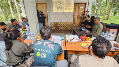 Kematian Anak Gajah Sumatera Akibat Infeksi EEHV, Kemenhut Gandeng Rumah Sakit Gajah Terbesar Dunia dari India