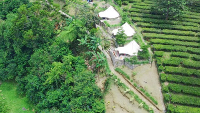 Bikin Menggigil! 3 Penginapan dengan Udara Paling Dingin dan Sejuk di Kawasan Puncak Bogor