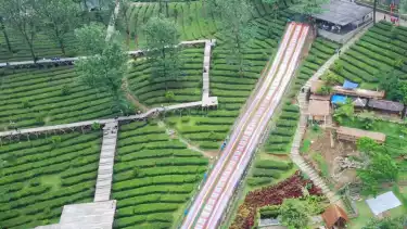 Potret kawasan Agrowisata Gunung Mas Puncak Bogor