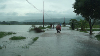 Cuaca Ekstrem di Bantul, Puluhan Pohon Tumbang dan Puluhan Hektar lahan Pertanian Terendam Banjir