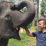 Apresiasi Satgas PKH Kembalikan Rp6,6 Triliun, Mahasiswa Doktoral USU: Menteri Kehutanan Bekerja Nyata