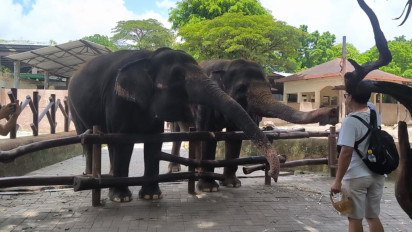 Antusiasme Pengunjung Tinggi, Gembira Loka Yogyakarta Dibanjiri 900 Ribu Wisatawan saat Libur Nataru
