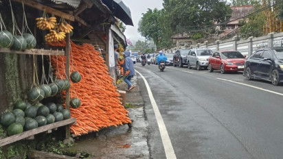 Pedagang Wortel di Kawasan Taman Safari Alami Kenaikan Omzet Pada Libur Nataru