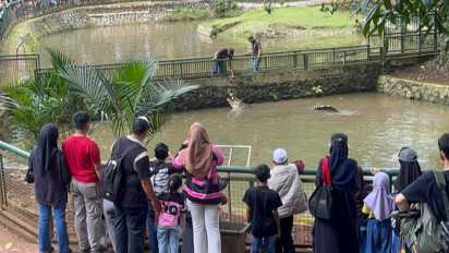 Hari Pertama 2026 ke Taman Margasatwa Ragunan Lihat Feeding Buaya, Warga Asal Cibinong Merasa Beruntung