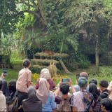 Antusias Warga Cibitung Lihat Feeding Harimau Sumatera di Ragunan: Senang Kenalin Satwa ke Anak