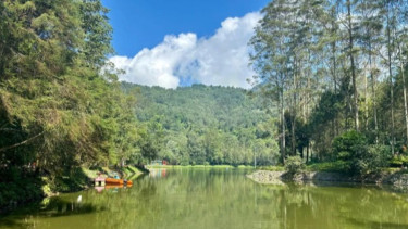Kemenhut: Status Gunung Wayang Masih Hutan Lindung