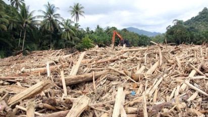 Polri Tetapkan Tersangka Individu dan Korporasi Kasus Kayu Gelondongan Saat Banjir di Tapanuli Selatan