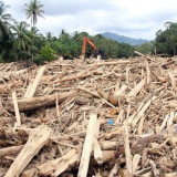 Izin Dicabut, Begini Nasib 28 Perusahaan yang Sebabkan Bencana Sumatra