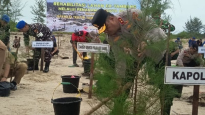 Hijaukan Lahan Bekas Tambang, 28.775 Pohon Ditanam Kembali di Babel