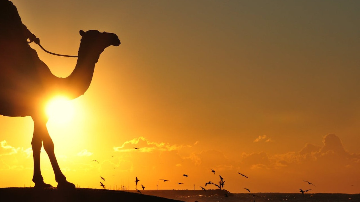 Kapan Peringatan Isra Mi'raj 2026? Ini Penjelasan Lengkap, Keutamaan, hingga Amalan yang Dianjurkan
            - galeri foto