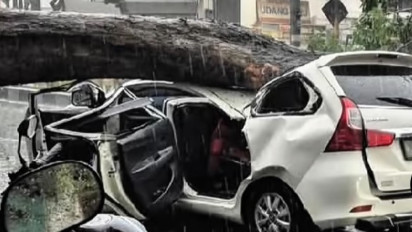 Angin Kencang, Pohon Tumbang Menimpa Minibus di Sidoarjo