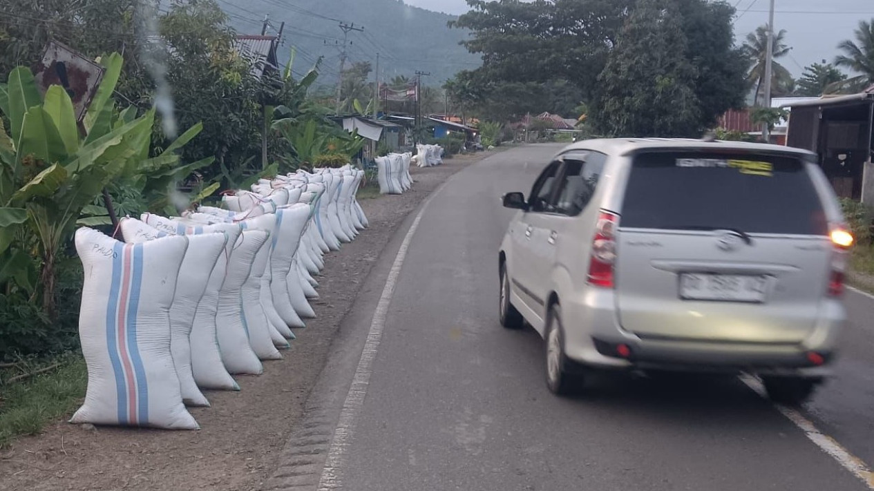 Harga Gabah di Luwu Turun, Bulog Palopo Upayakan Pembelian Sesuai HPP
            - galeri foto