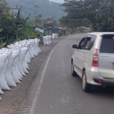 Harga Gabah di Luwu Turun, Bulog Palopo Upayakan Pembelian Sesuai HPP