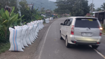 Harga Gabah di Luwu Turun, Bulog Palopo Upayakan Pembelian Sesuai HPP